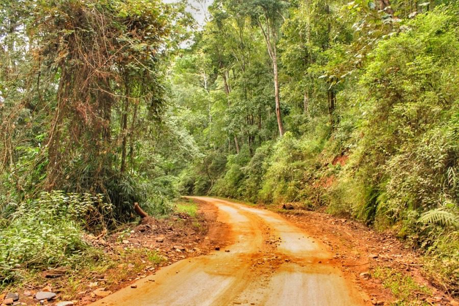 Bhadra Wildlife Sanctuary