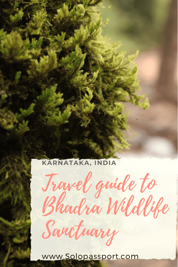 PIN for later reference - Travel Guide to Bhadra Wildlife Sanctuary