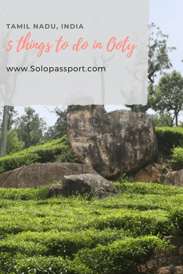 PIN for later reference - 5 things to do in Ooty