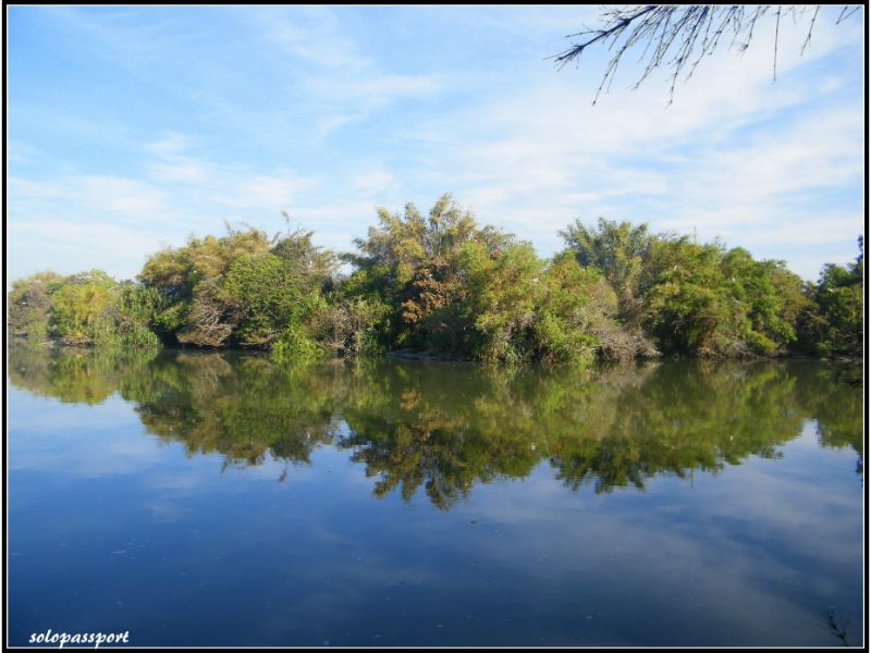 Ranganatittu bird sanctuary