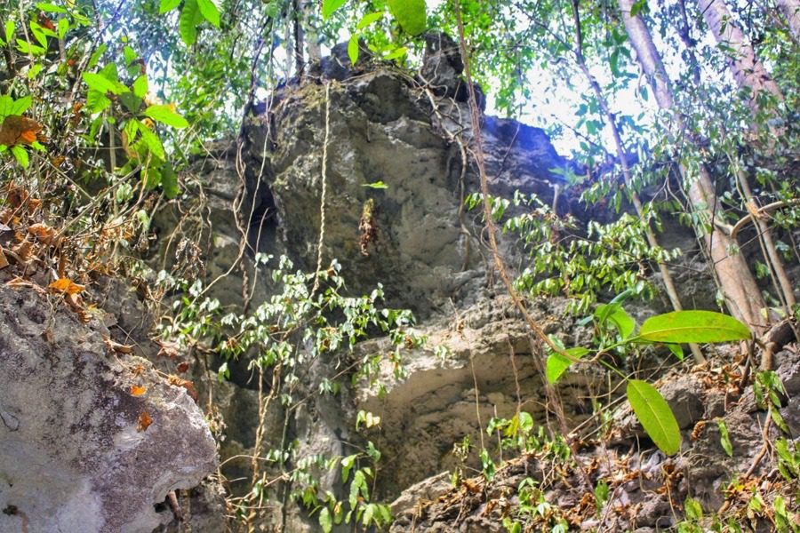 Limestone caves at Baratang island