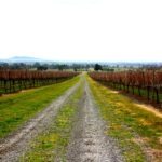 Enjoy wine at Yarra Valley