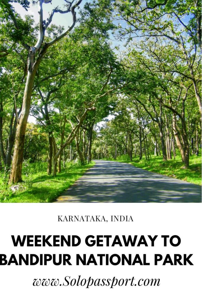 PIN for later reference - Weekend getaway to Bandipur National Park