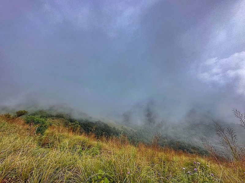Covered in fog - Kodachadri trek