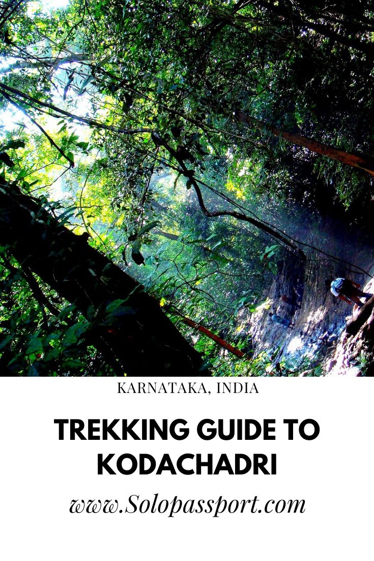 PIN for later reference - Trekking in Kodachadri