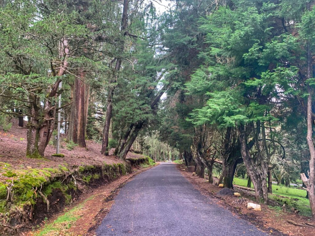 Roads at Kodaikanal