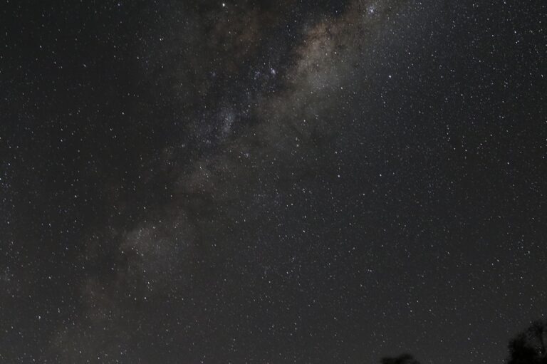 Embracing the Celestial Beauty: Milky Way Spotting at Lake Lyell (2024)