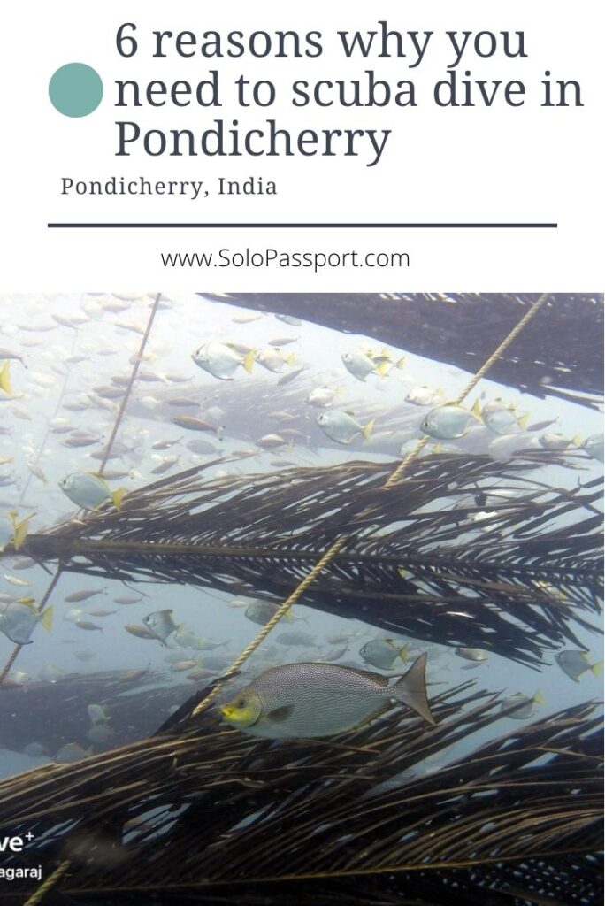 Scuba Diving in Pondicherry Reviews - PIN for later reference