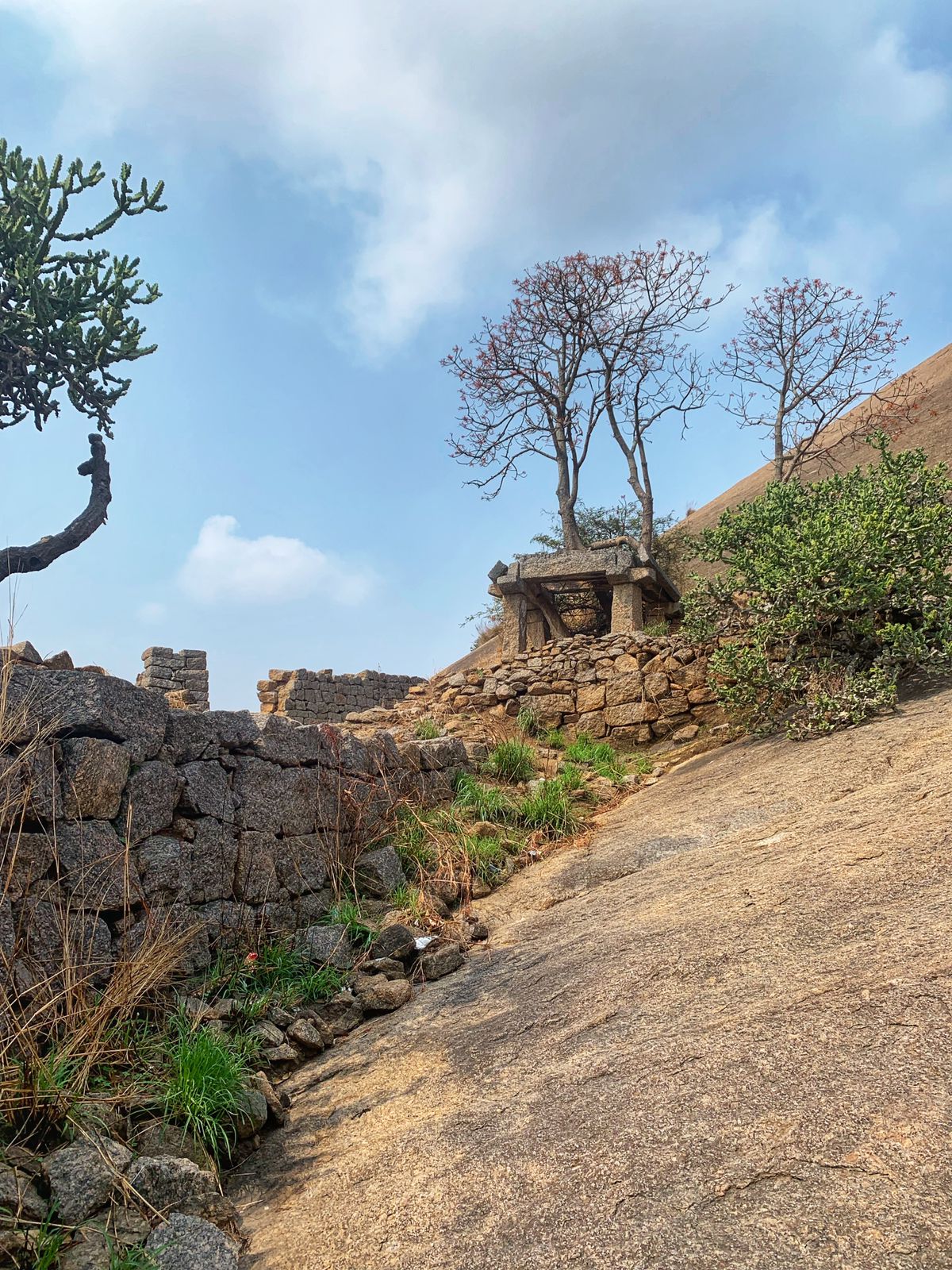 Fort Wall I - Savandurga trek