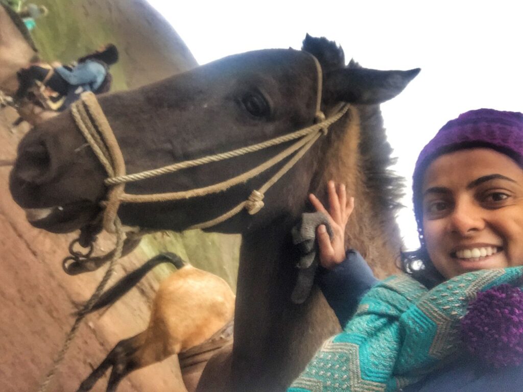 Horse on the Rainbow mountain trail