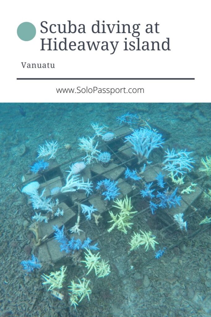 PIN for later reference - Scuba Diving at Underwater Post Office Vanuatu