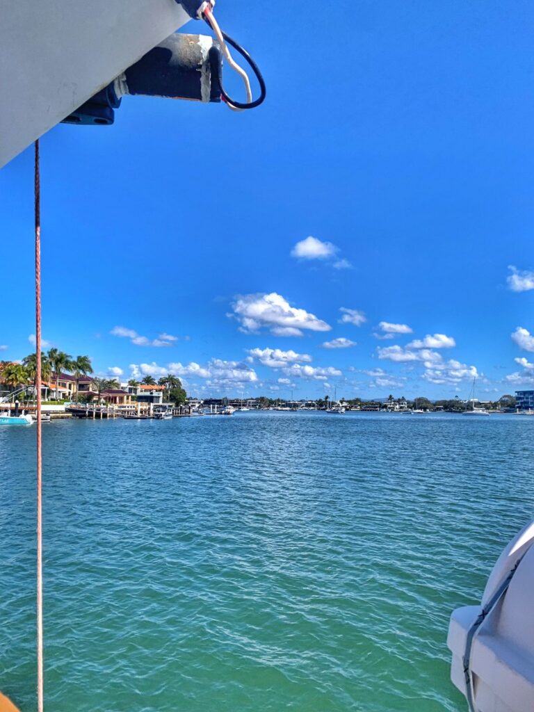 Boat ride for swimming with whales Mooloolaba