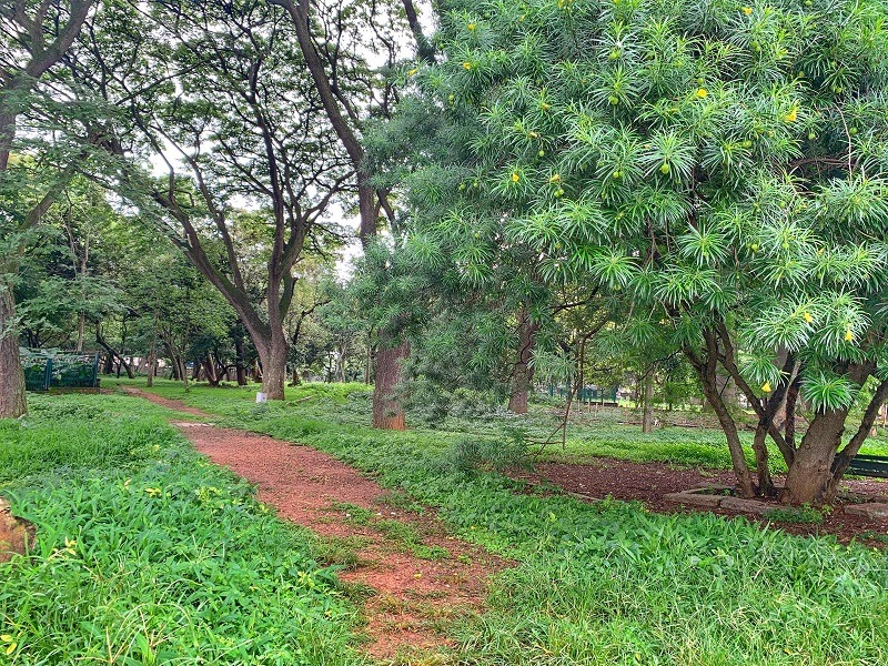 Lalbagh Botanical Garden