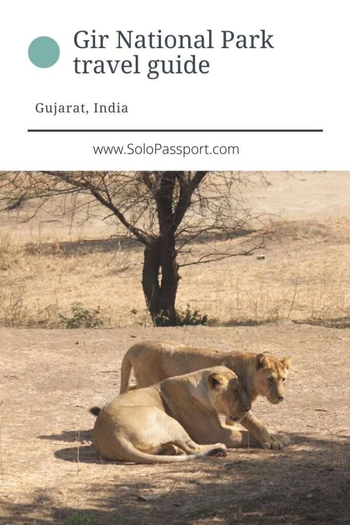 PIN for later reference - Gir National Park travel guide