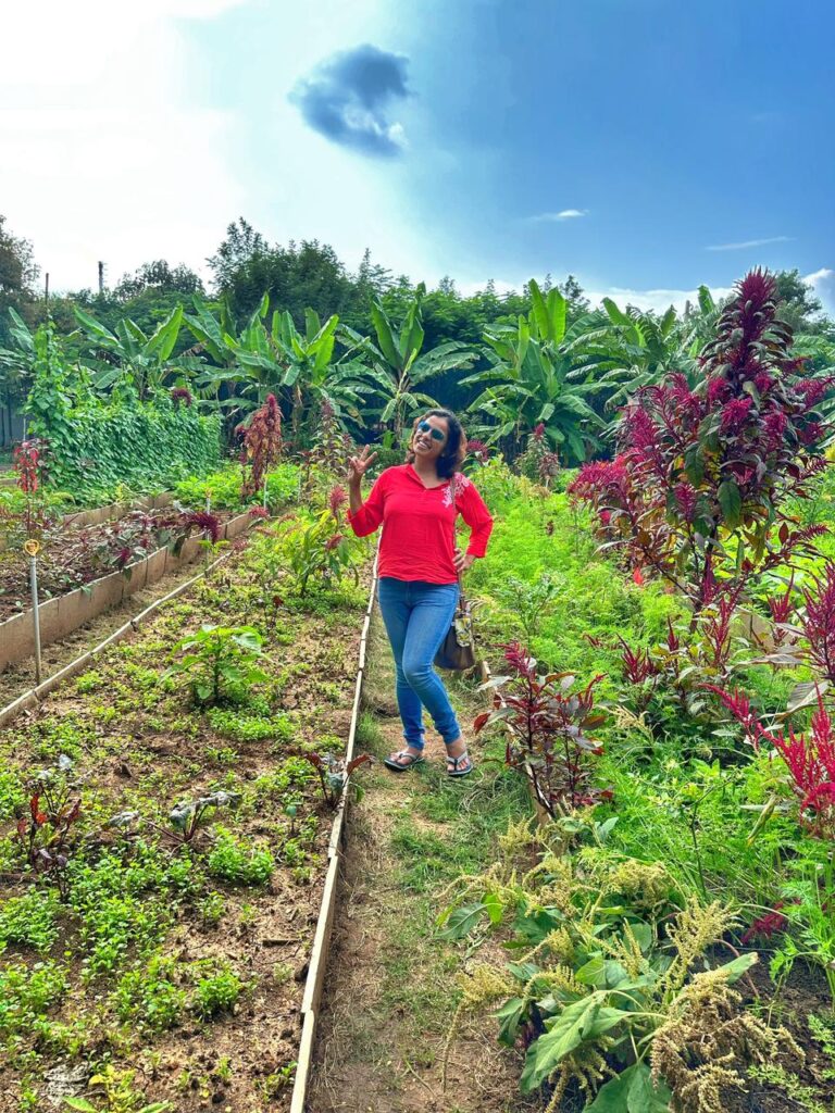 Safety for solo female travelers at Akshayakalpa