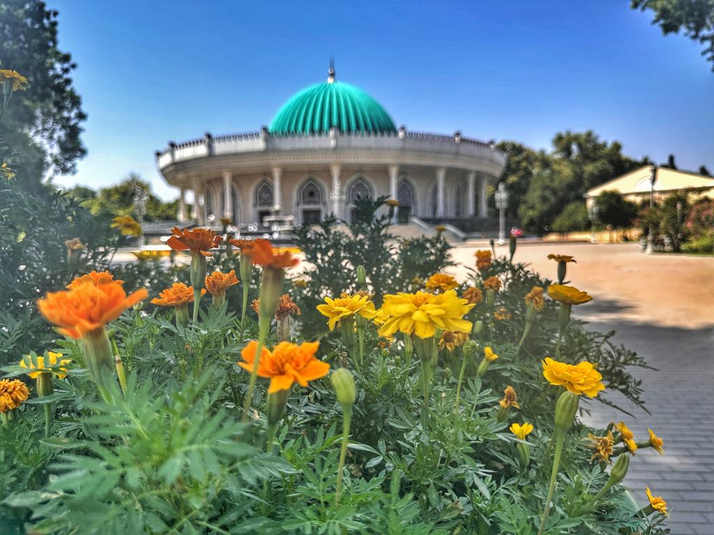 State Museum of the Timurids - Things to do in Tashkent