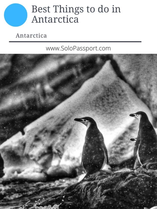 Best Things to do in Antarctica