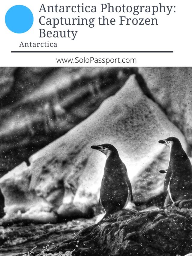 Antarctica Photography