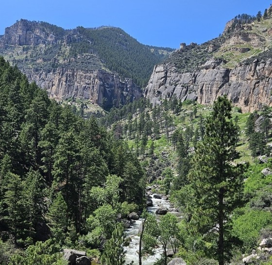 Tongue River Canyon Trail