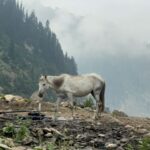 Amarnath Yatra Trek