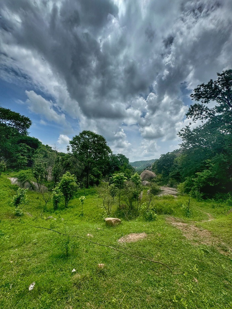 pathway to see Kunagalu forest