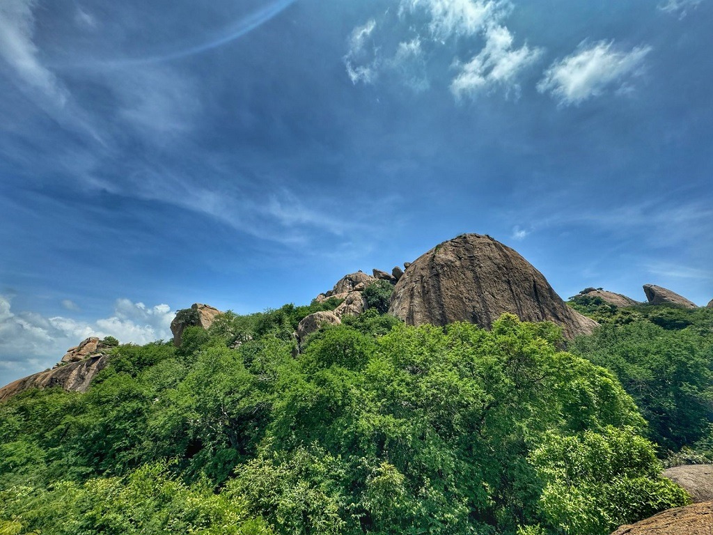 a hill seen from the viewpoint