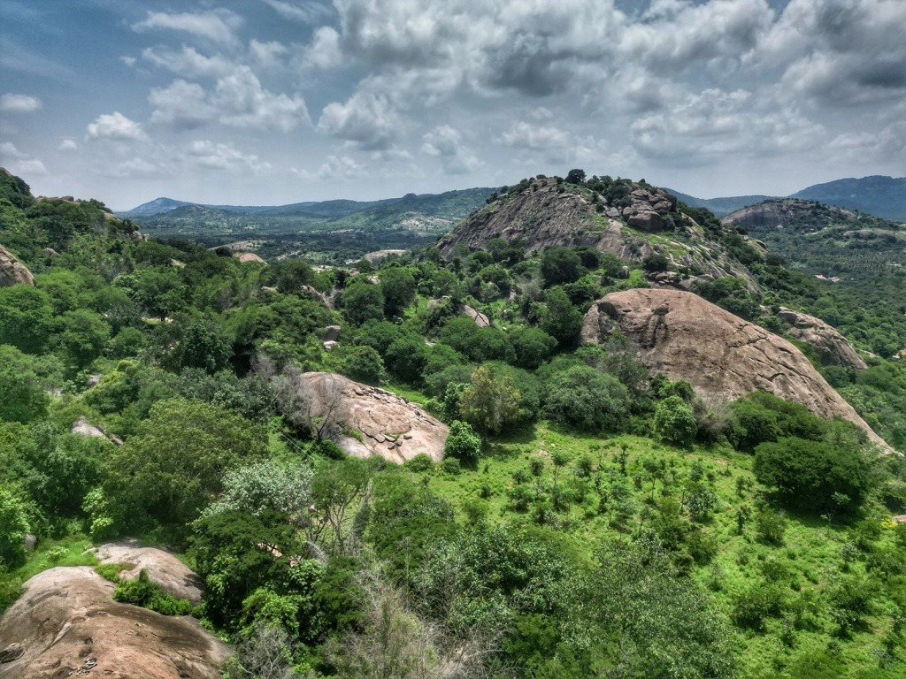 the lush greenery landscape seen from the peak of the hill