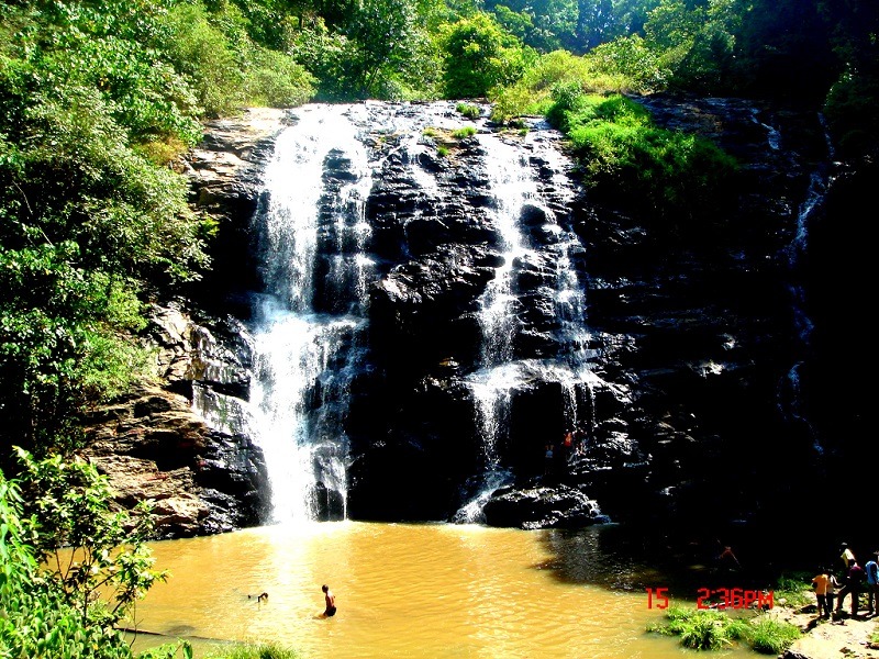 Best Time to Visit Coorg: The Ultimate Guide for 2024