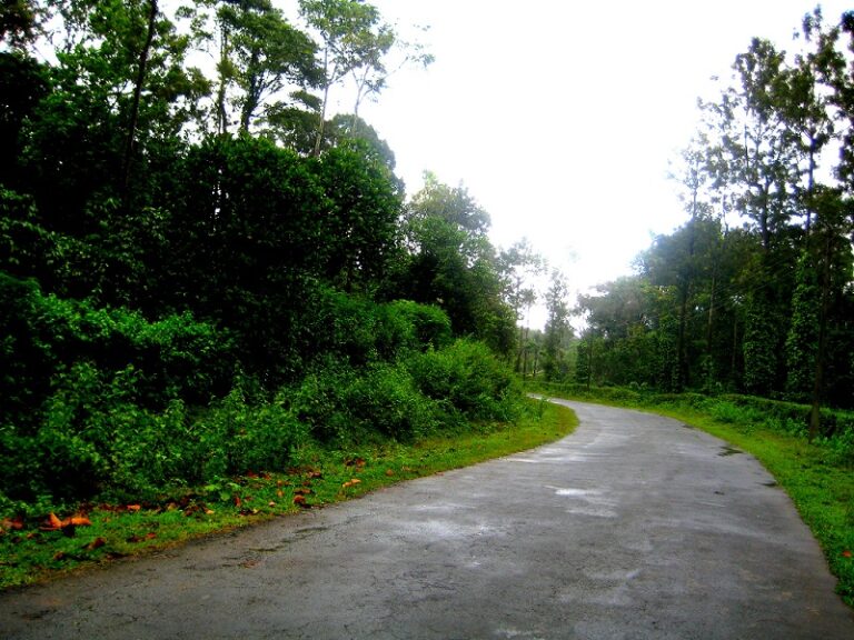 roads leading to the top of the peak and is the best time to visit Coorg