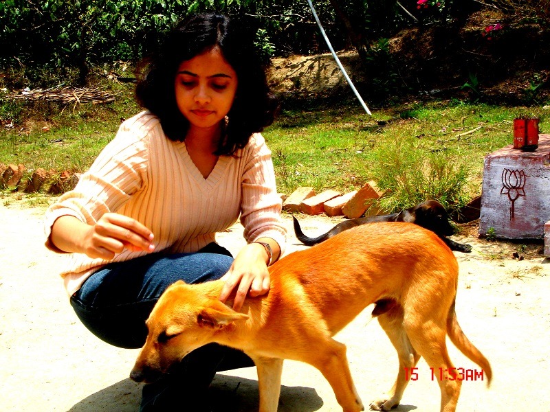 a girl petting a dog