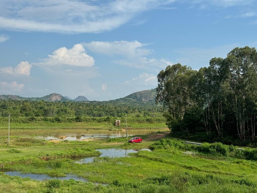 a car parked amidst beautiful green landscapes and a pond