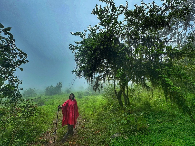 Beautiful sceneries - Valikunja Trek