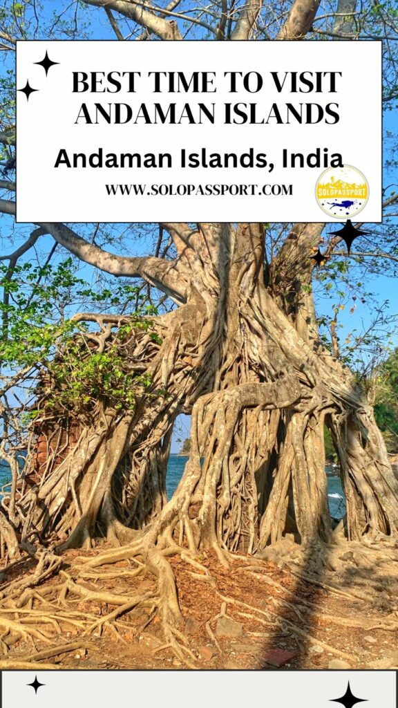 PIN for later reference - Best Time to Visit Andaman Islands