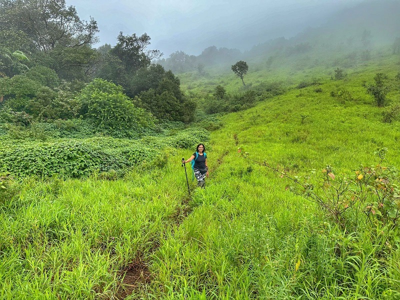 Trail along the grasslands - Valikunja Trek