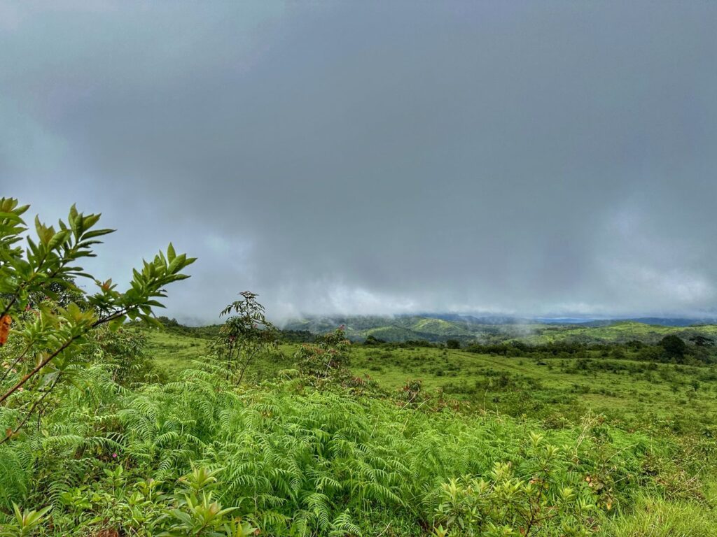 Valikunja Landscapes