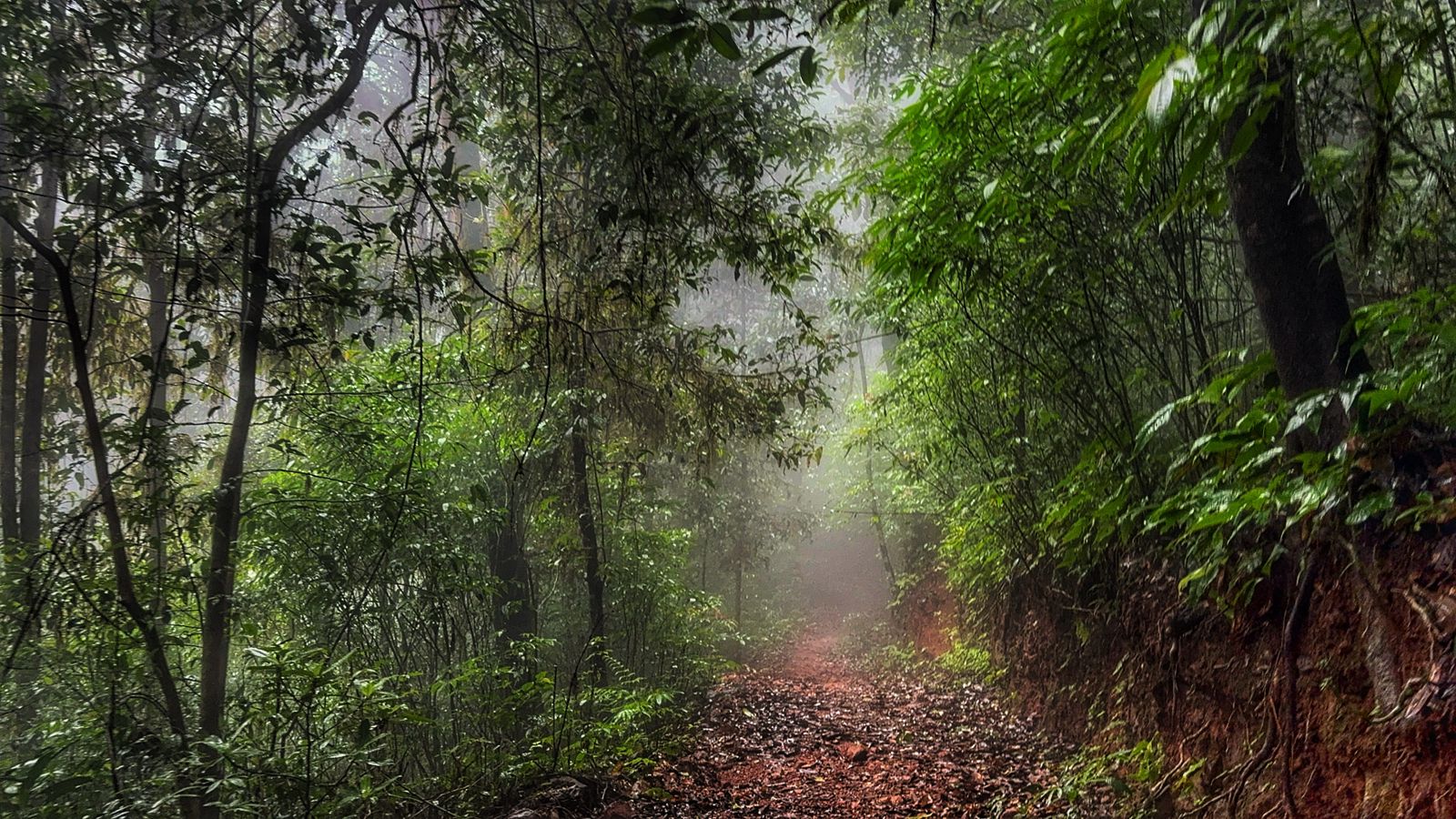 Valikunja Trek