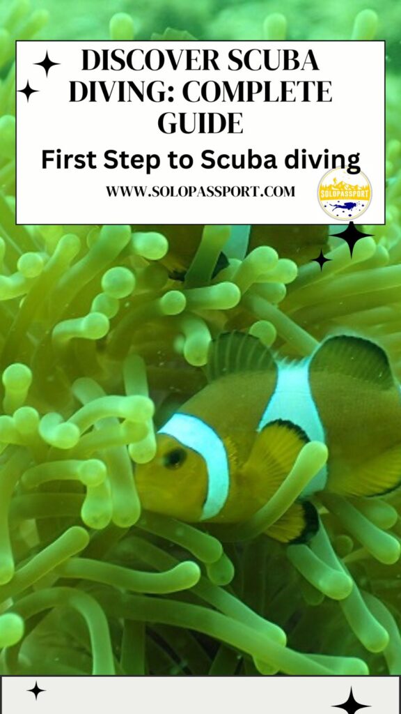 PIN for later reference - Discover Scuba Diving (DSD)