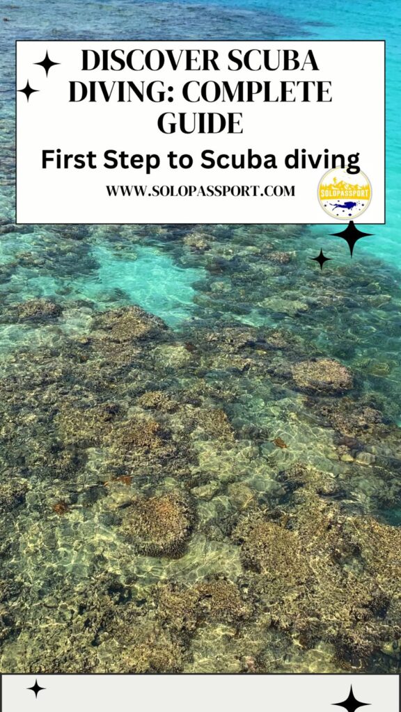 PIN for later reference - Discover Scuba Diving (DSD)