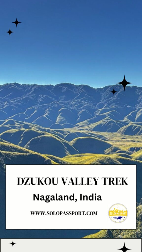 PIN for later reference - Dzukou Valley Trek