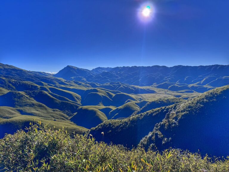 Guide to Dzukou Valley Trek from Viswema Village