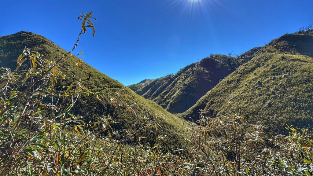 Lush green mountains