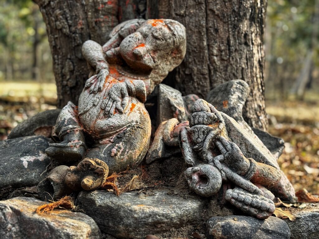 Ganesha at Pench Tiger Reserve